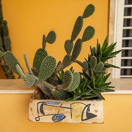 شقة Impero 5 Duepiuno أكوافيفا ديلي فونتي